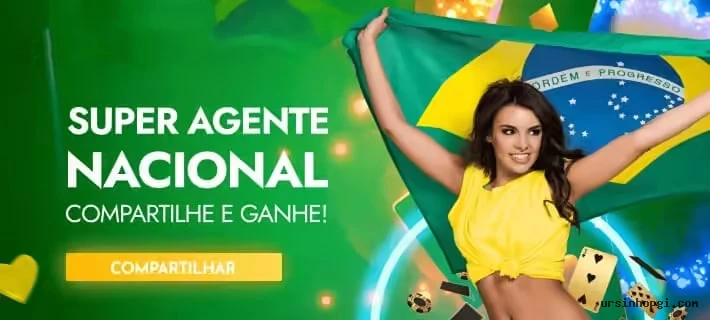 Guias de instalação da Ursinhopg